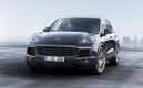 image cayenne-platinum-edition-00003.jpg