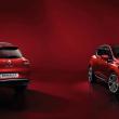 image clio-2016-00001.jpg