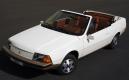 image renault-fuego-15.jpg