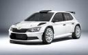 image skoda-fabia-r5-001.jpg