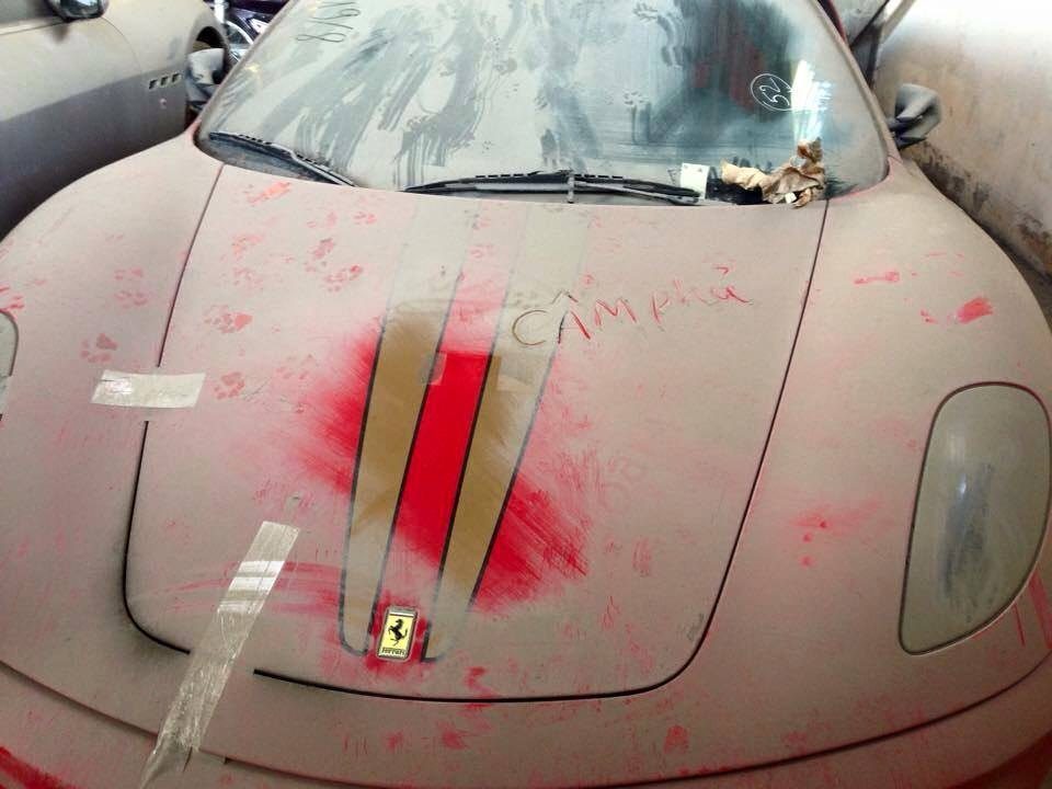 Afbeelding Gallery: kijk hoe 144 exoten staan te verpieteren in Vietnam