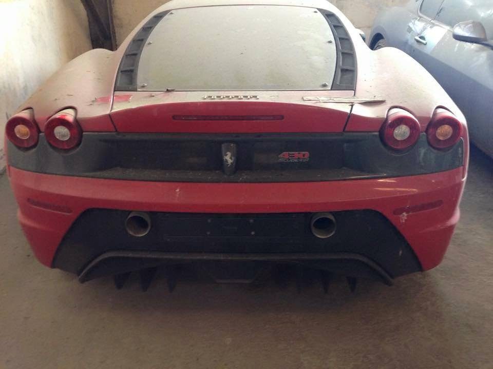 Afbeelding Gallery: kijk hoe 144 exoten staan te verpieteren in Vietnam