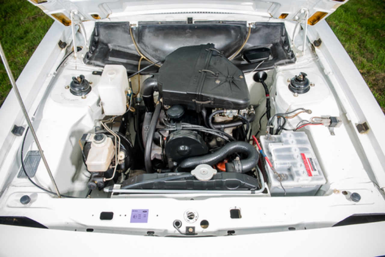 Afbeelding Dit gezapige muurbloempje ontpopt zich tot dure escort