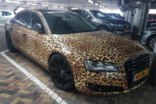 Appspot op Autoblog.nl : APPSPOT autonieuws