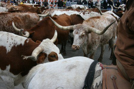 Dodge Ram Van onthulling Dodge Ram Van onthulling