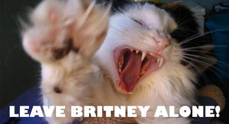 Leave Britney alone!