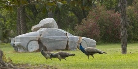 Ferrari Steenrood Ferrari Steenrood